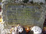 image of grave number 905266